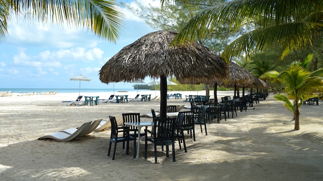 Tables with a mix of thatched roof and modern umbrellas line a beach that has palm trees Tables with a mix of thatched roof and modern umbrellas line a beach that has palm trees