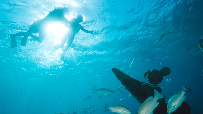 A statue of Mickey Mouse sits on the ocean floor while a couple snorkels overhead
