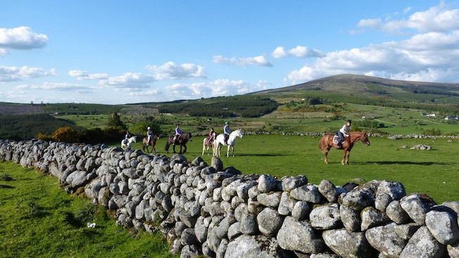 Horseback riders travel through green fields in Ireland Horseback riders travel through green fields in Ireland