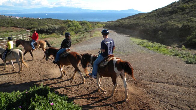 People riding saddled horses down a dirt path on a grassy hill with a view of the water