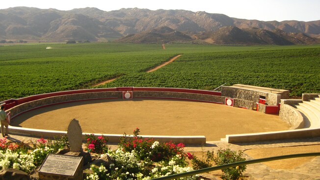 Mountains stand in the background of a bull ring set on the edge of a sprawling vineyard