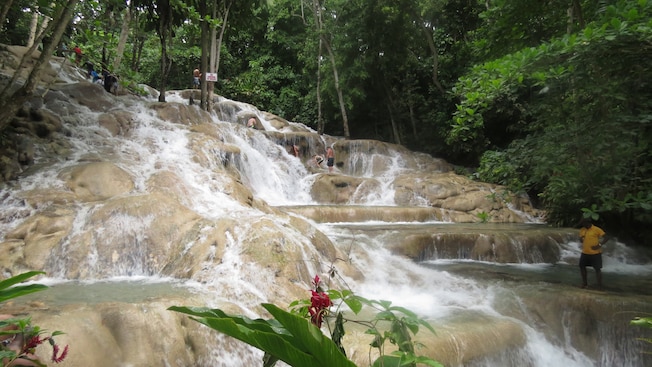 A cascade of waters fall over smooth terraced rock and forest A cascade of waters fall over smooth terraced rock and forest