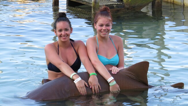 Dos mujeres jóvenes sentadas una al lado de la otra en aguas poco profundas mientras un delfín descansa sobre sus regazos