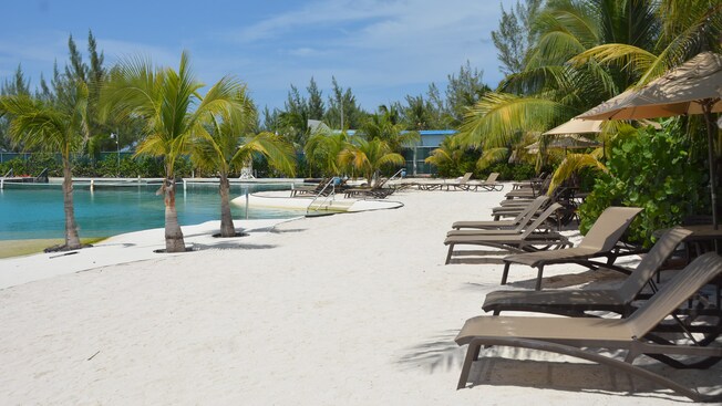Sand, palm trees, lounge chairs and umbrellas surround a large lagoon like swimming pool
