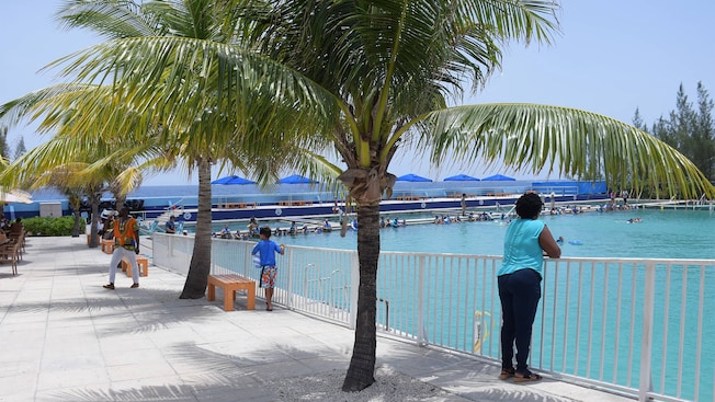 A woman stands against a guardrail surrounding a large pool lined with Dolphin Encounter participants