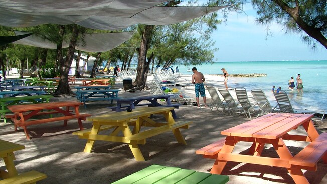 Lounge chairs line the seashore while rows of picnic tables sit under the shade of nearby trees and canopies