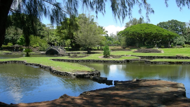 A lush park with ponds and a wooden bridge that goes over the water