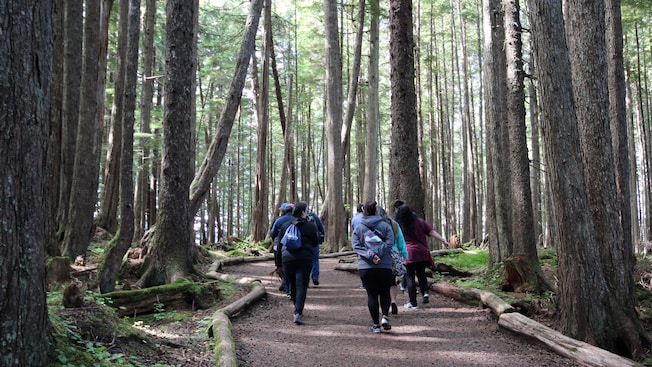Un grupo de personas recorren un camino de tierra bordeado de un denso bosque lleno de árboles