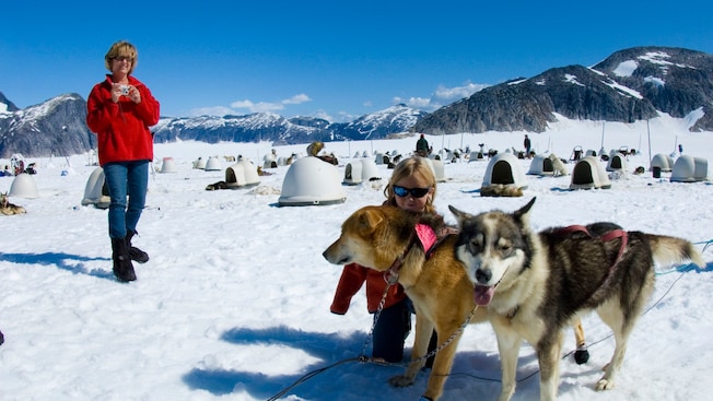 A woman photographs a young girl petting a sled dog