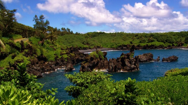 A small, rocky island in the middle of a bay, surrounded by foliage