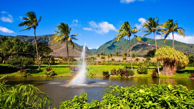 Water sprays from the middle of a lagoon, surrounded by palm trees, tropical plants and grass lawn
