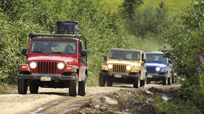 Una caravana de jeeps viaja por un frondoso camino de montaña