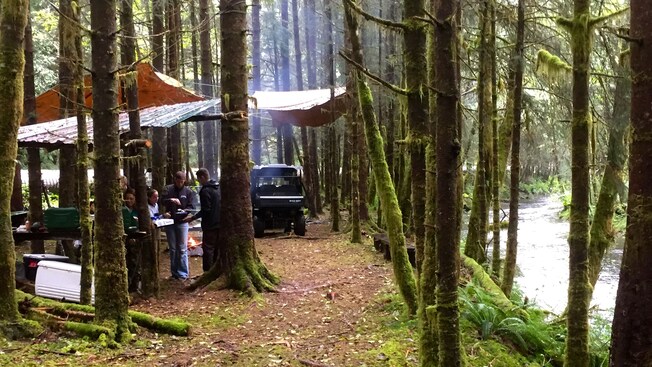A group of people huddling under a canopy next to a campfire in the woods