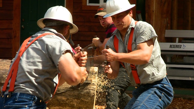 Wood chips fly as 2 lumberjacks saw through a thick log of wood Wood chips fly as 2 lumberjacks saw through a thick log of wood