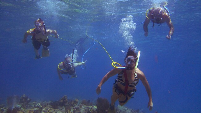 Four people swim underwater above a coral reef wearing snorkels attached to air hoses