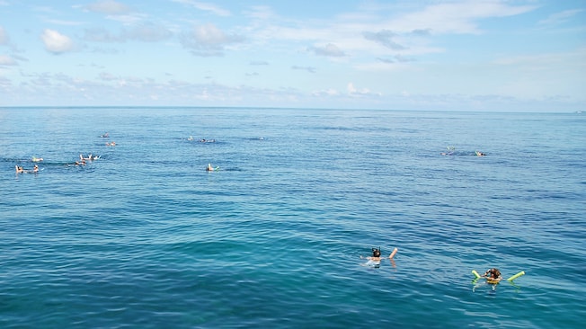 Guests snorkel while floating on foam water noodles Guests snorkel while floating on foam water noodles