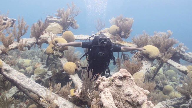 A male scuba diver swims among coral reef A male scuba diver swims among coral reef