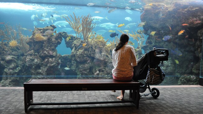 A woman sits on a bench with a stroller near an aquarium