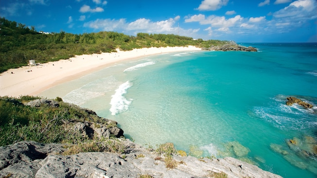 Personas en una playa cerca de árboles y arbustos Personas en una playa cerca de árboles y arbustos
