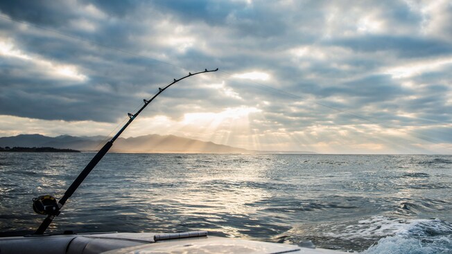 A fishing rod hanging off the back of a boat