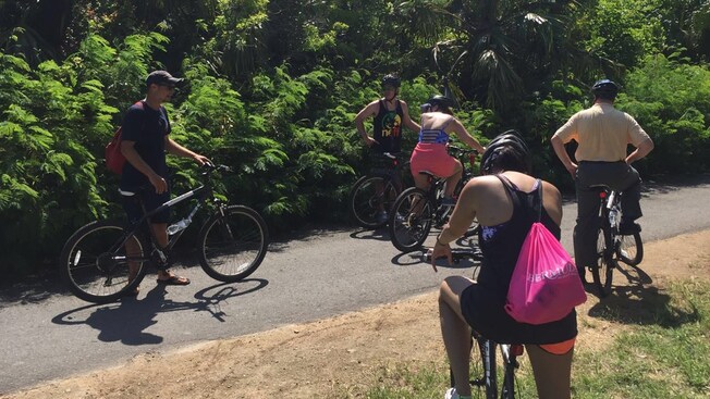 Um grupo de cinco hóspedes sai em um passeio de bicicleta
