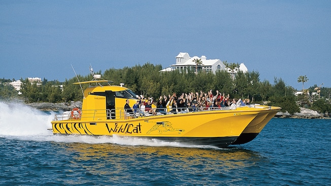 Pessoas em um barco com uma placa que diz WildCat perto de uma ilha com árvores e edifícios Pessoas em um barco com uma placa que diz WildCat perto de uma ilha com árvores e edifícios