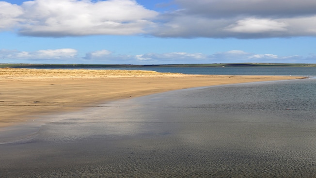 The sandy shoreline on the Orkney Coast The sandy shoreline on the Orkney Coast
