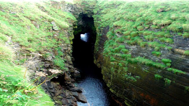 A grass covered sea cave