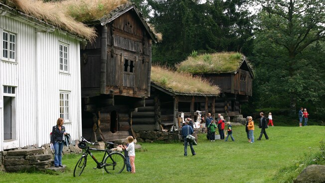 Guests observe a row of old wooden houses with sod roofs