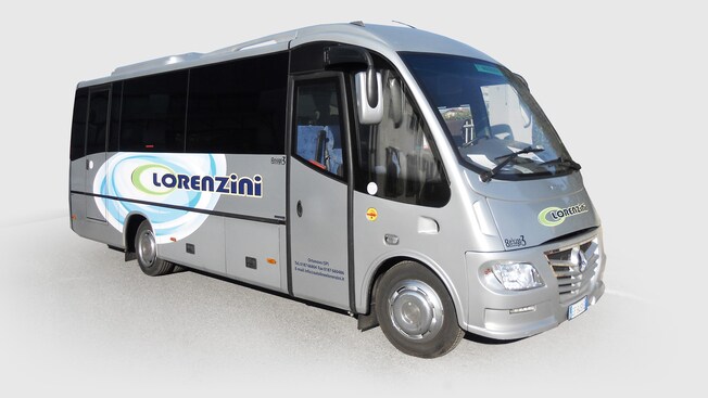 4 Hour Tour of Livorno: Mini Bus