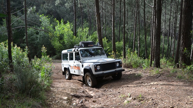 A 4 by 4 vehicle drives over a rough road in a forest A 4 by 4 vehicle drives over a rough road in a forest