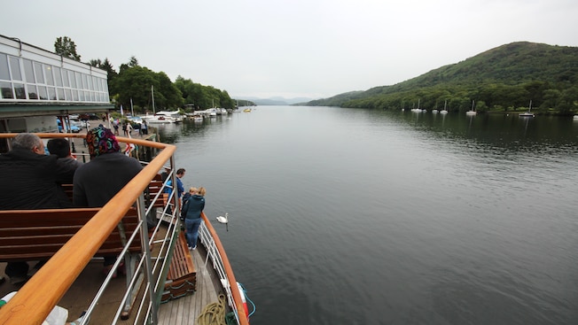 Boat passengers watch swans in the water as their vessel heads through a strait