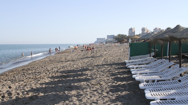 A beach with people, beach chairs and umbrellas near trees and a city A beach with people, beach chairs and umbrellas near trees and a city