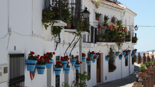 A row of houses lined with flower pots and balconies