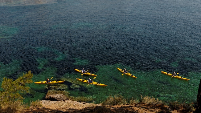 5 pessoas andando de caiaque perto de um litoral