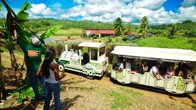 An open air train trolley filled with passengers parked at a stop in a banana plantation