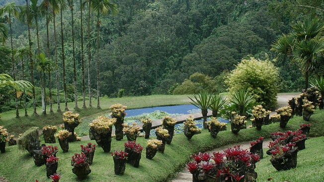 Botanical Garden & Footbridge