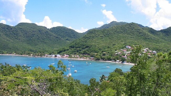 A heavily forested shoreline curves around a bay with boats and a pier