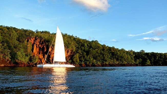 A luxury catamaran glides through the water alongside a verdant cliff A luxury catamaran glides through the water alongside a verdant cliff