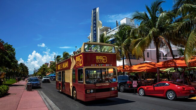 An open top, double decker bus driving on a street lined with palm trees, vintage hotels and cafes