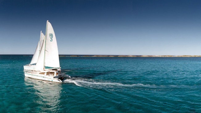 2 catamarans sailing through the waters 2 catamarans sailing through the waters