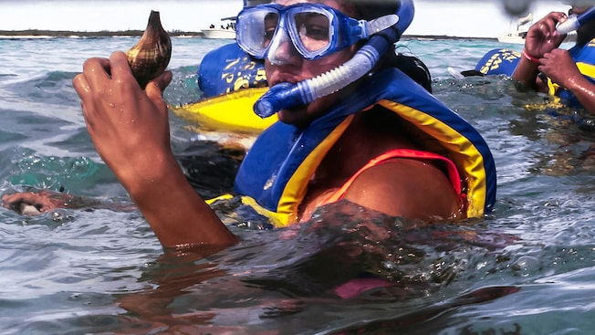 A snorkeler holds up a seashell A snorkeler holds up a seashell