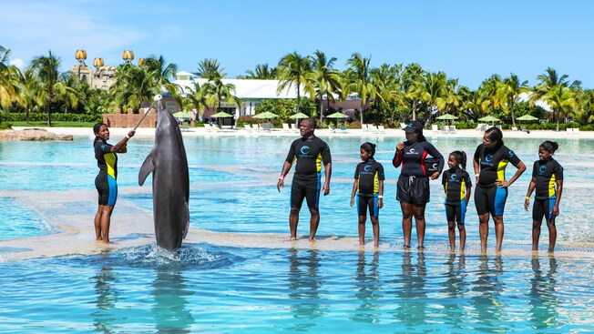Un grupo de visitantes mira cómo los delfines saltan fuera del agua para tocar una vara de entrenamiento