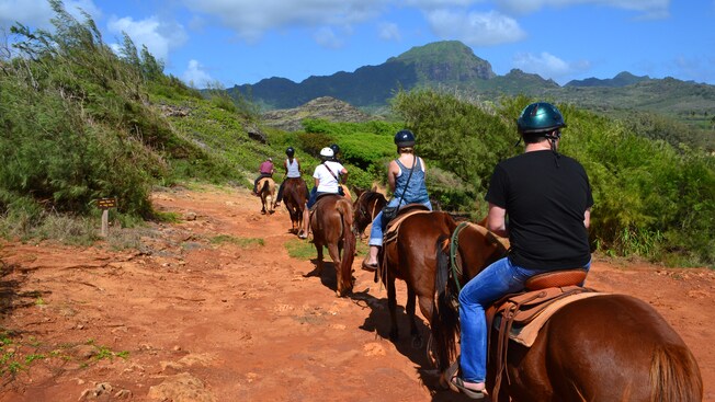 A procession of 5 people on horseback, on a dirt trail with patches of forest