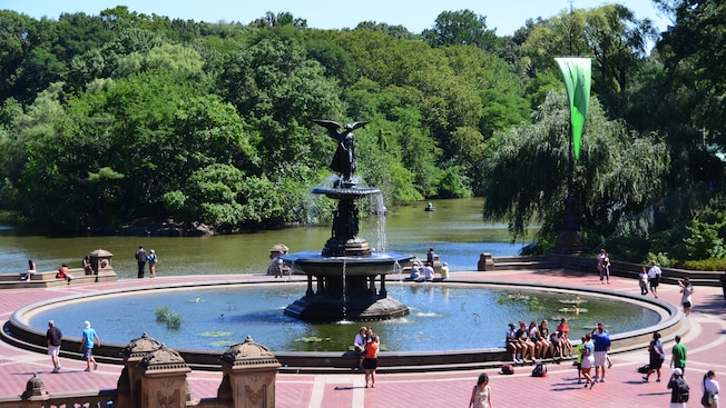 Passeio a pé no Central Park Passeio a pé no Central Park