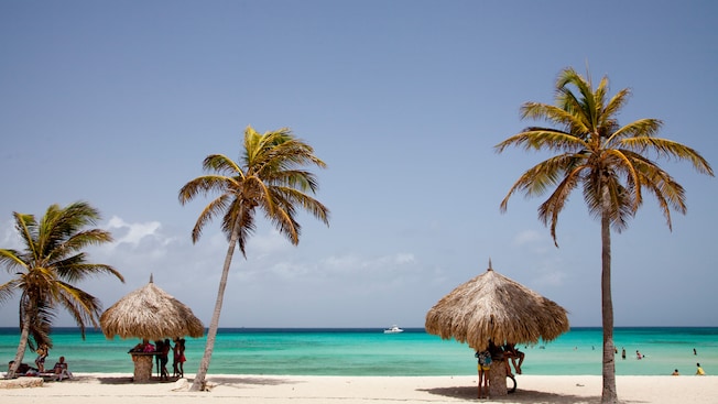 People at a beach featuring palapa umbrellas and palm trees