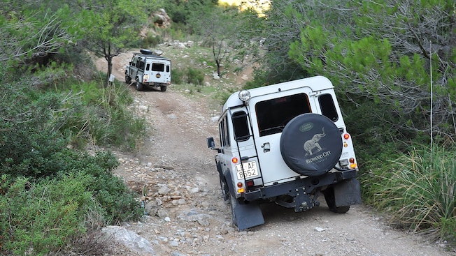 A couple of 4 by 4 vehicles drive down a rocky road with trees on either side A couple of 4 by 4 vehicles drive down a rocky road with trees on either side