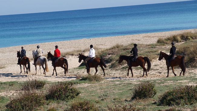 People riding saddled horses on the sand by the water People riding saddled horses on the sand by the water