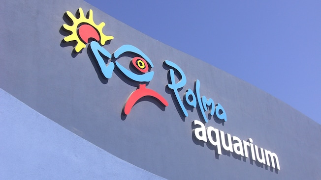 A sign for the Palma Aquarium A sign for the Palma Aquarium
