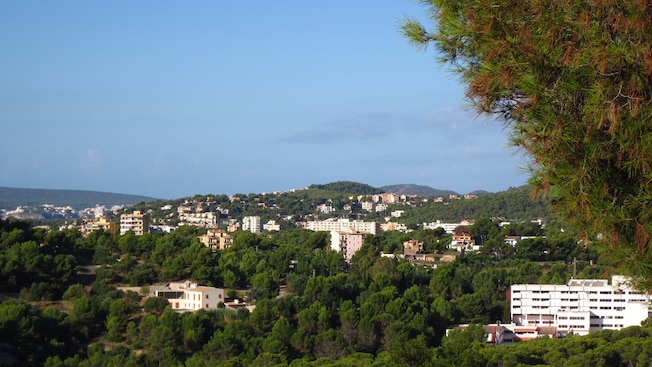 A city scattered between patches of forest on a hillside A city scattered between patches of forest on a hillside